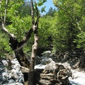 Samaria Gorge